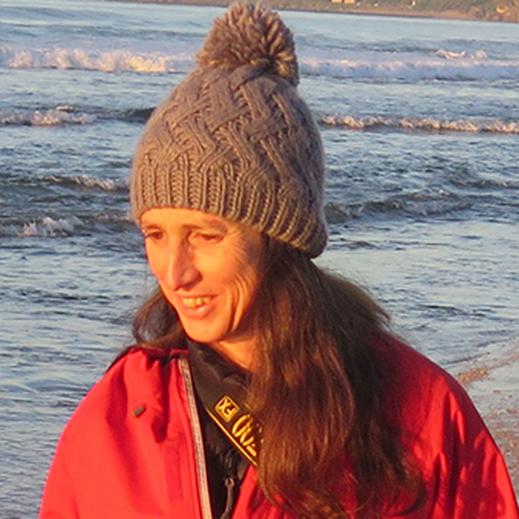 Professor Kerry Sink