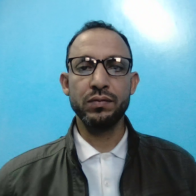 Sidi Mohamed M. Moctar
